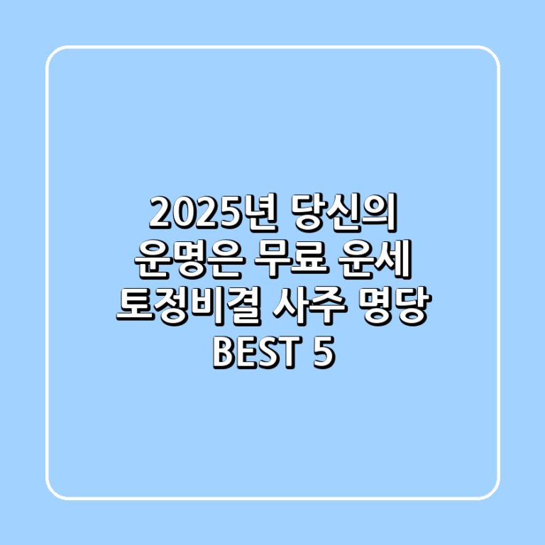2025년 당신의 운명은 무료 운세 토정비결 사주 명당 BEST 5