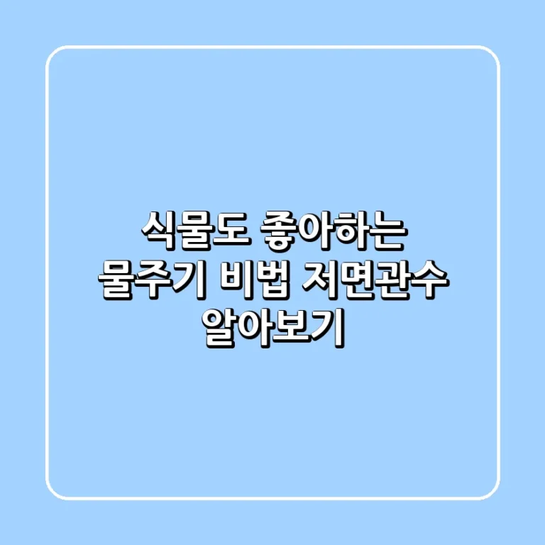 식물도 좋아하는 물주기 비법 저면관수 알아보기