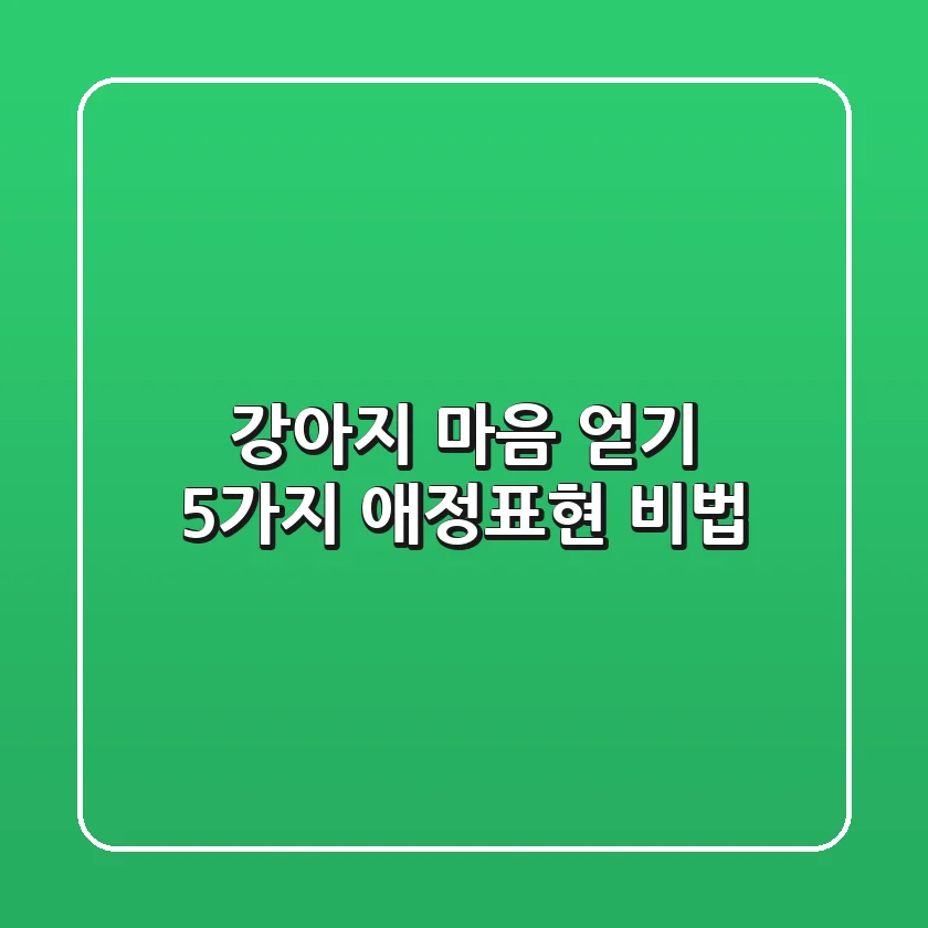 강아지 마음 얻기! 5가지 애정표현 비법🐕🐾