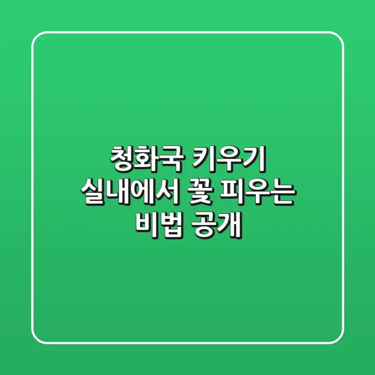청화국 키우기: 실내에서 꽃 피우는 비법 공개!