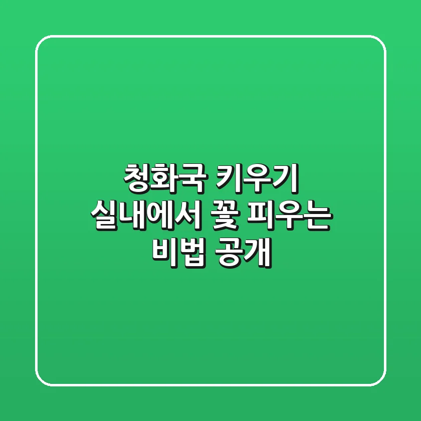청화국 키우기: 실내에서 꽃 피우는 비법 공개!