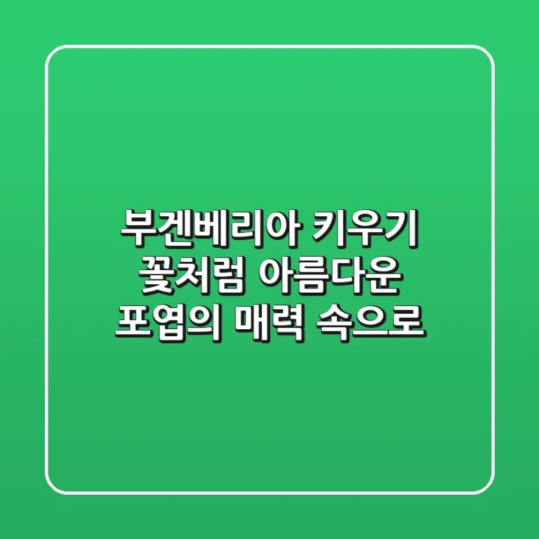 부겐베리아 키우기, 꽃처럼 아름다운 포엽의 매력 속으로!