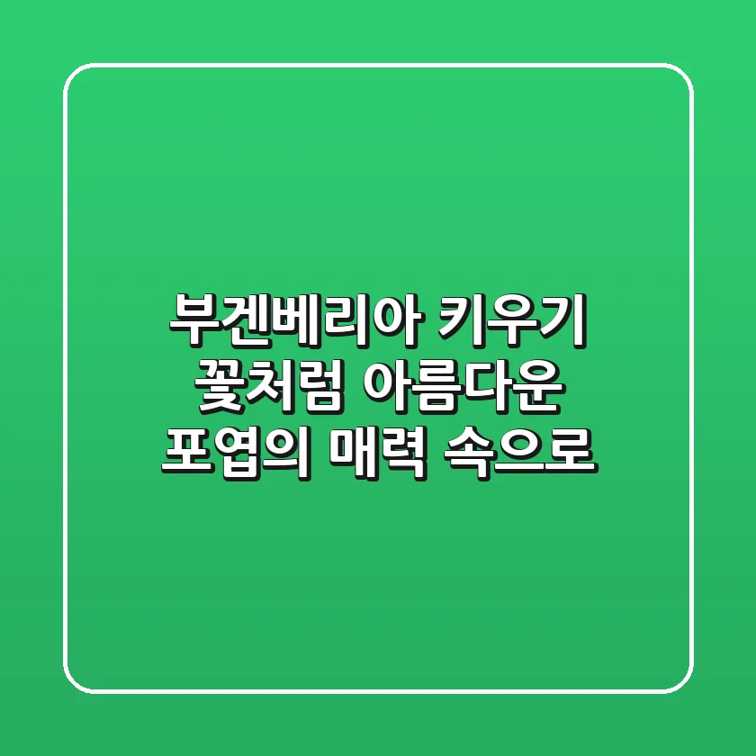 부겐베리아 키우기, 꽃처럼 아름다운 포엽의 매력 속으로!