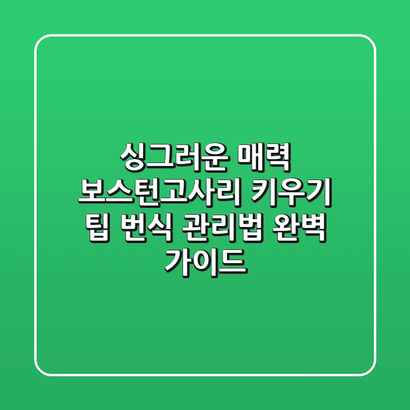 싱그러운 매력, 보스턴고사리 키우기: 팁, 번식, 관리법 완벽 가이드