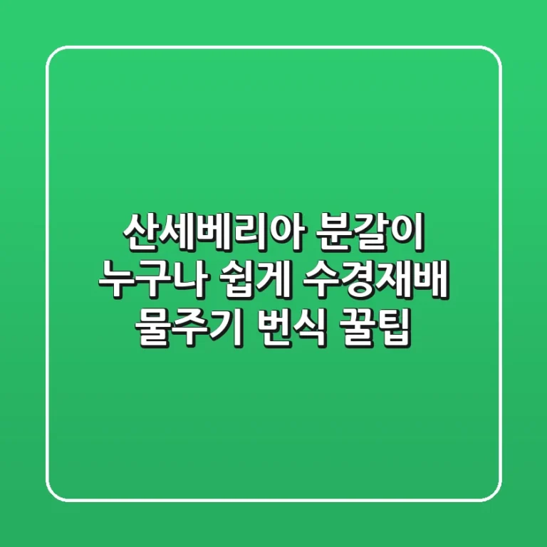산세베리아 분갈이, 누구나 쉽게! (수경재배, 물주기, 번식 꿀팁)