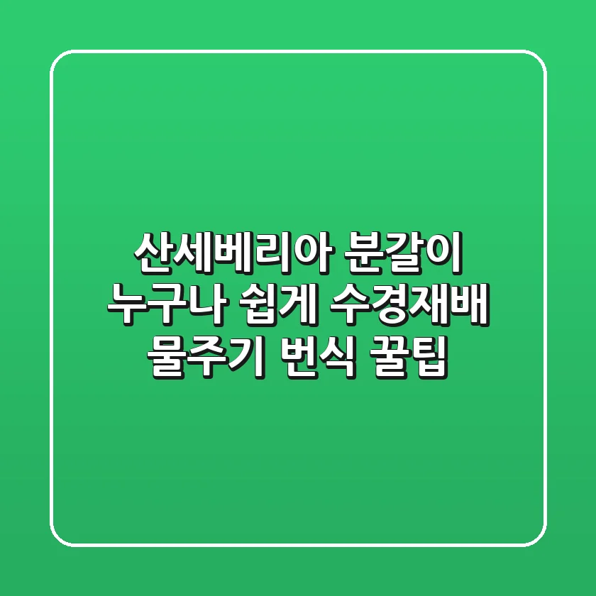 산세베리아 분갈이, 누구나 쉽게! (수경재배, 물주기, 번식 꿀팁)