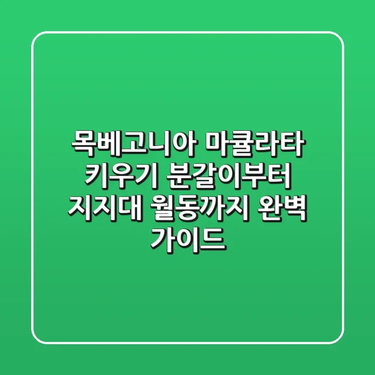 목베고니아 마큘라타 키우기: 분갈이부터 지지대, 월동까지 완벽 가이드