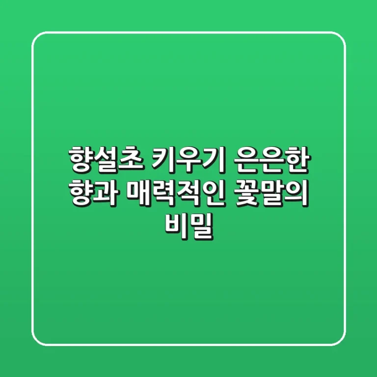 향설초 키우기, 은은한 향과 매력적인 꽃말의 비밀