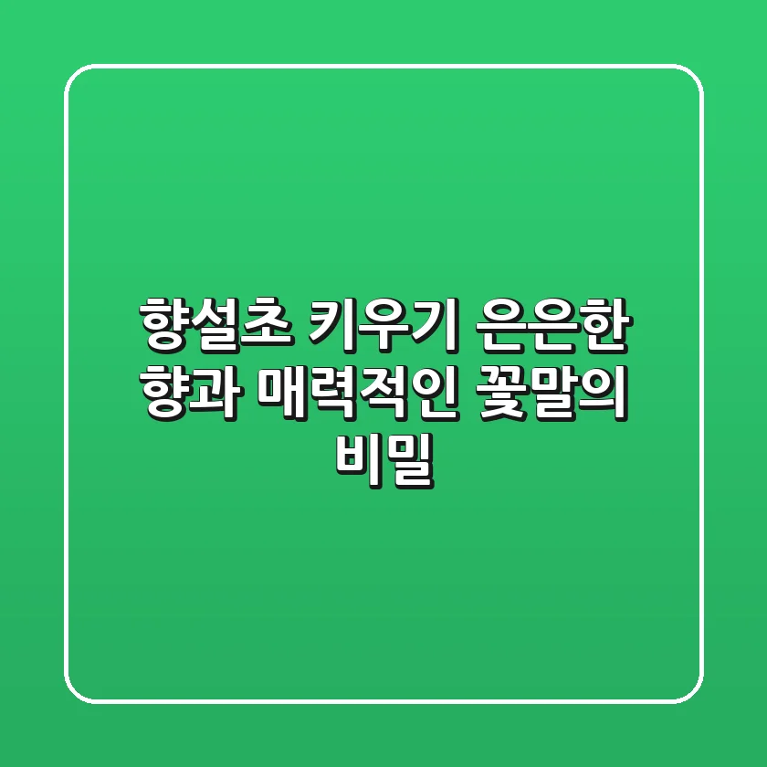 향설초 키우기, 은은한 향과 매력적인 꽃말의 비밀