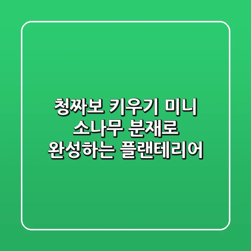 청짜보 키우기: 미니 소나무 분재로 완성하는 플랜테리어