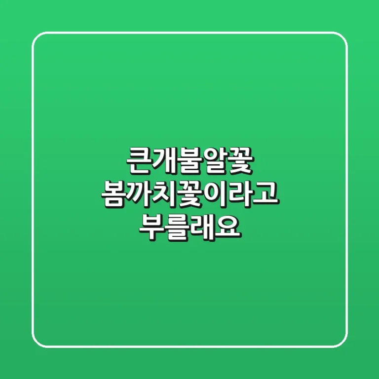 큰개불알꽃? 봄까치꽃이라고 부를래요!