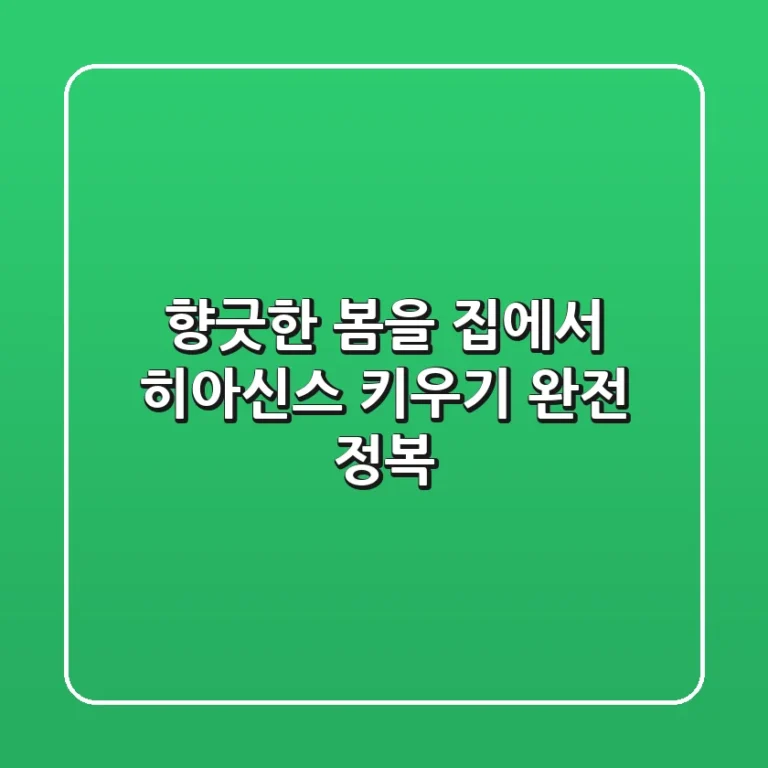 향긋한 봄을 집에서! 히아신스 키우기 완전 정복