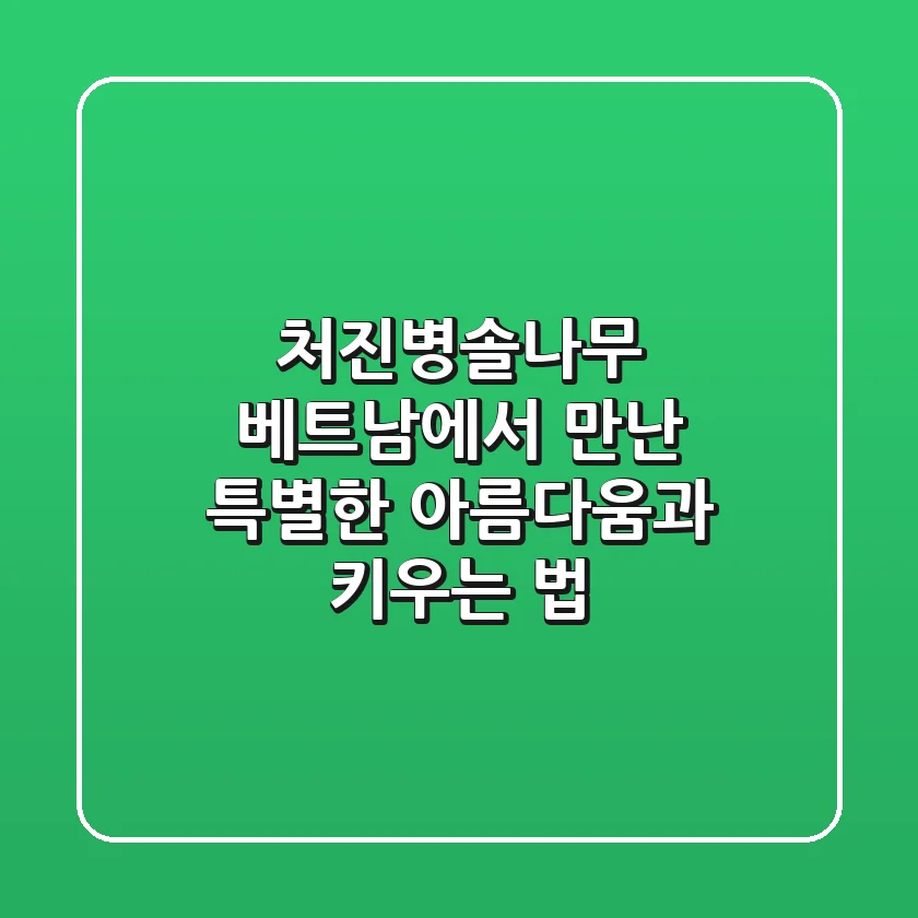 처진병솔나무: 베트남에서 만난 특별한 아름다움과 키우는 법