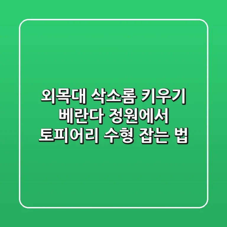 외목대 삭소롬 키우기: 베란다 정원에서 토피어리 수형 잡는 법