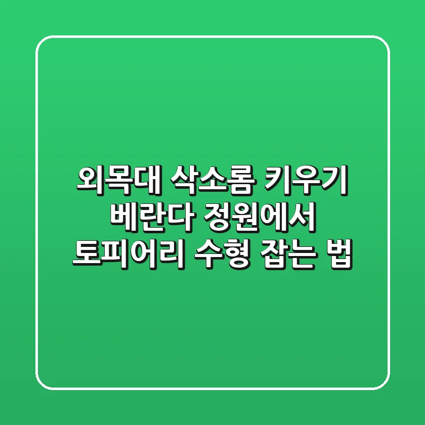 외목대 삭소롬 키우기: 베란다 정원에서 토피어리 수형 잡는 법