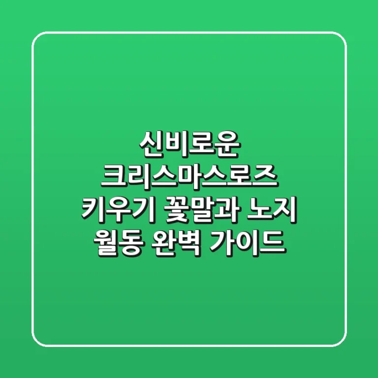 신비로운 크리스마스로즈 키우기: 꽃말과 노지 월동 완벽 가이드