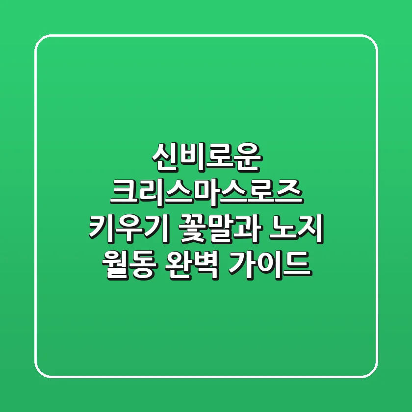 신비로운 크리스마스로즈 키우기: 꽃말과 노지 월동 완벽 가이드
