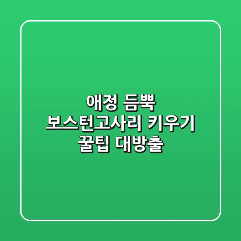애정 듬뿍! 보스턴고사리 키우기: 꿀팁 대방출🌿