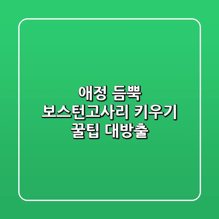 애정 듬뿍! 보스턴고사리 키우기: 꿀팁 대방출🌿