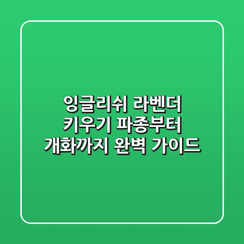 잉글리쉬 라벤더 키우기: 파종부터 개화까지 완벽 가이드