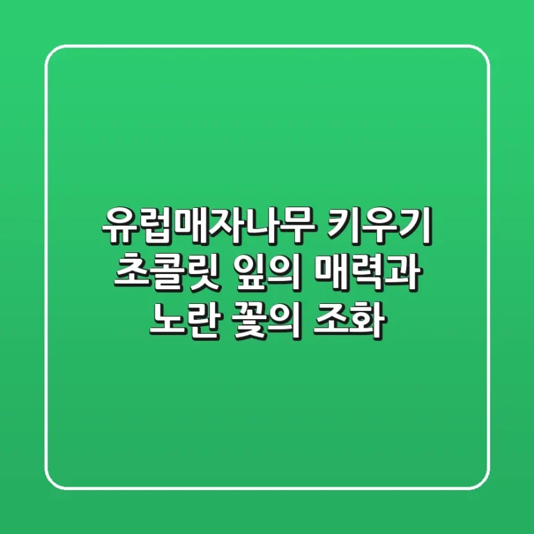 유럽매자나무 키우기: 초콜릿 잎의 매력과 노란 꽃의 조화