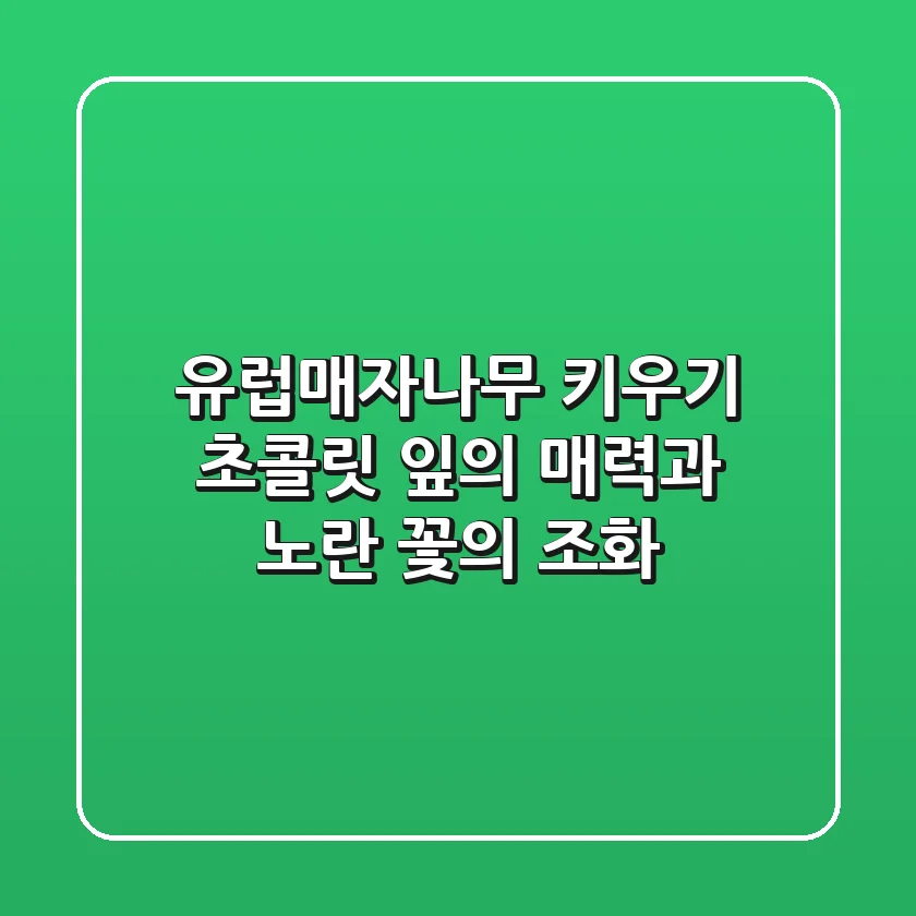 유럽매자나무 키우기: 초콜릿 잎의 매력과 노란 꽃의 조화