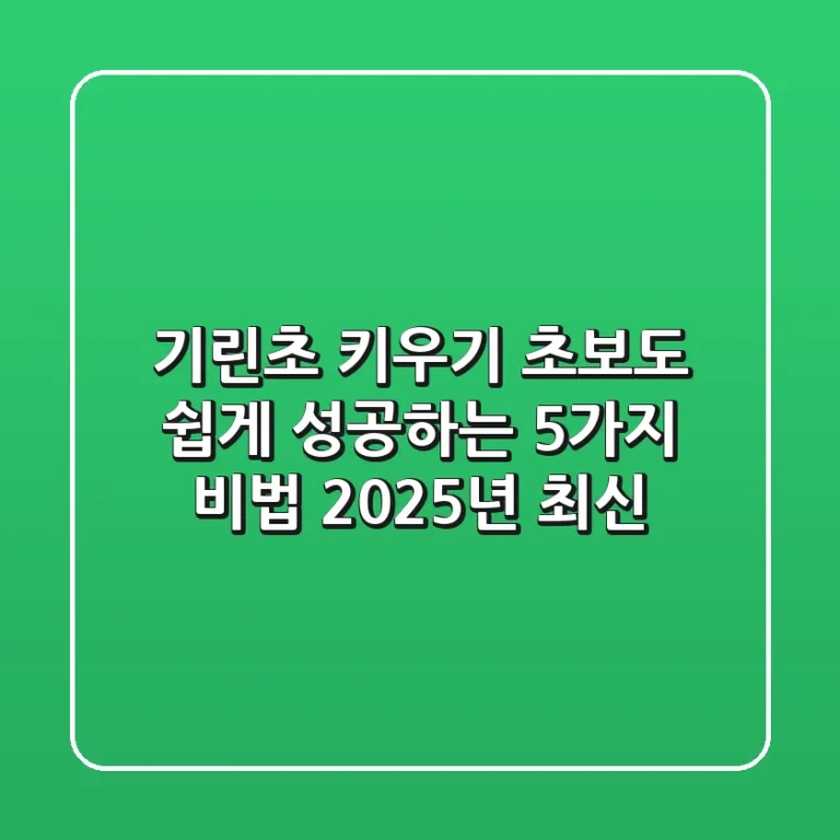 기린초 키우기: 초보도 쉽게 성공하는 5가지 비법 (2025년 최신)