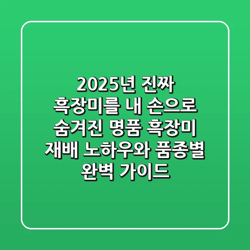 2025년, 진짜 흑장미를 내 손으로: 숨겨진 명품 흑장미 재배 노하우와 품종별 완벽 가이드