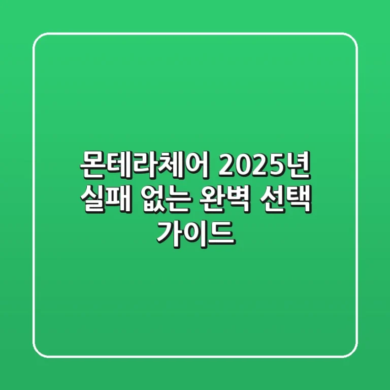 몬테라체어, 2025년 실패 없는 완벽 선택 가이드