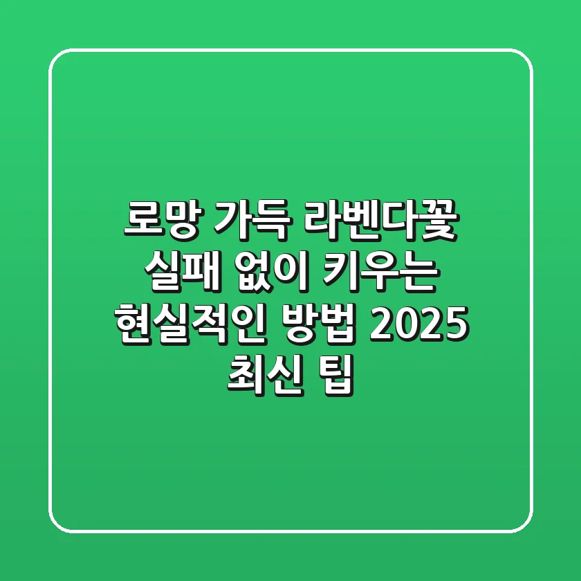 로망 가득 라벤다꽃, 실패 없이 키우는 현실적인 방법 (2025 최신 팁)