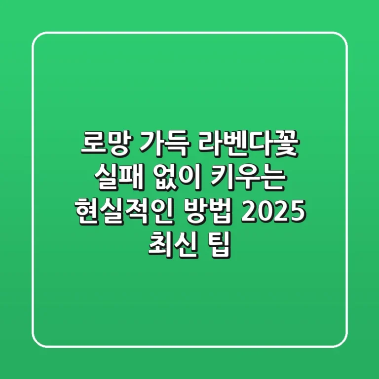 로망 가득 라벤다꽃, 실패 없이 키우는 현실적인 방법 (2025 최신 팁)