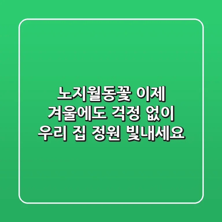 노지월동꽃, 이제 겨울에도 걱정 없이 우리 집 정원 빛내세요!