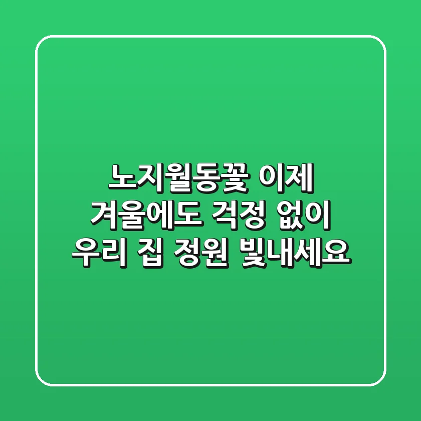 노지월동꽃, 이제 겨울에도 걱정 없이 우리 집 정원 빛내세요!