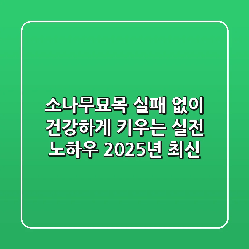 소나무묘목, 실패 없이 건강하게 키우는 실전 노하우 (2025년 최신)