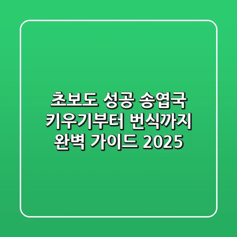 초보도 성공! 송엽국 키우기부터 번식까지 완벽 가이드 (2025)