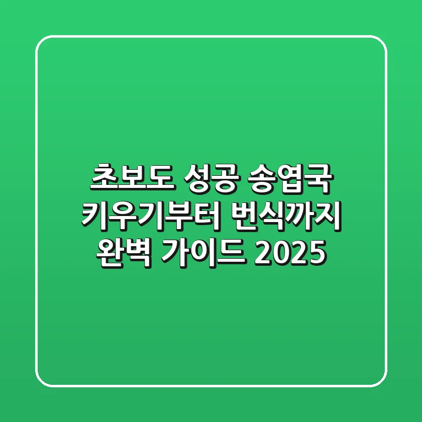 초보도 성공! 송엽국 키우기부터 번식까지 완벽 가이드 (2025)