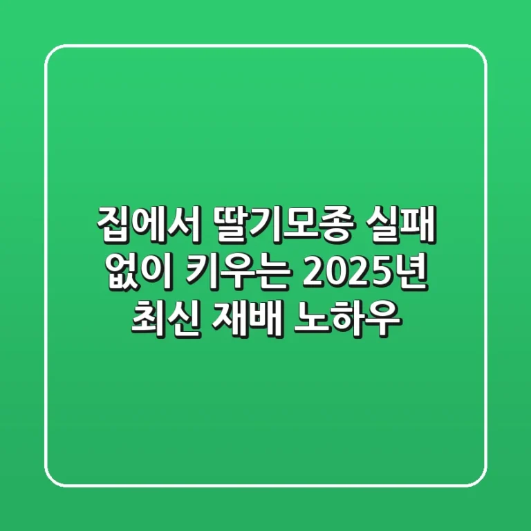 집에서 딸기모종, 실패 없이 키우는 2025년 최신 재배 노하우