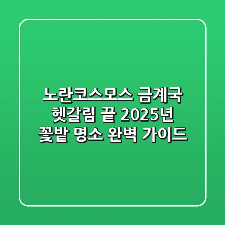 노란코스모스, 금계국? 헷갈림 끝! 2025년 꽃밭 & 명소 완벽 가이드