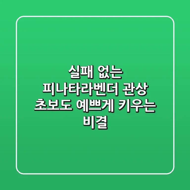 실패 없는 피나타라벤더 관상, 초보도 예쁘게 키우는 비결