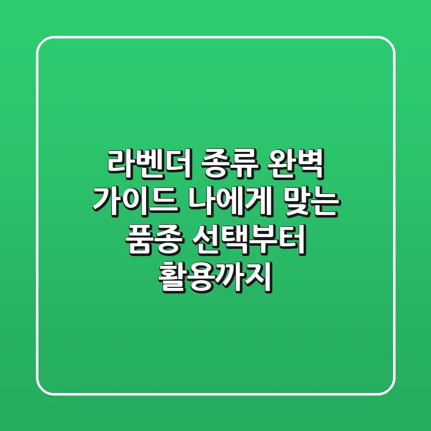 라벤더 종류 완벽 가이드: 나에게 맞는 품종 선택부터 활용까지!
