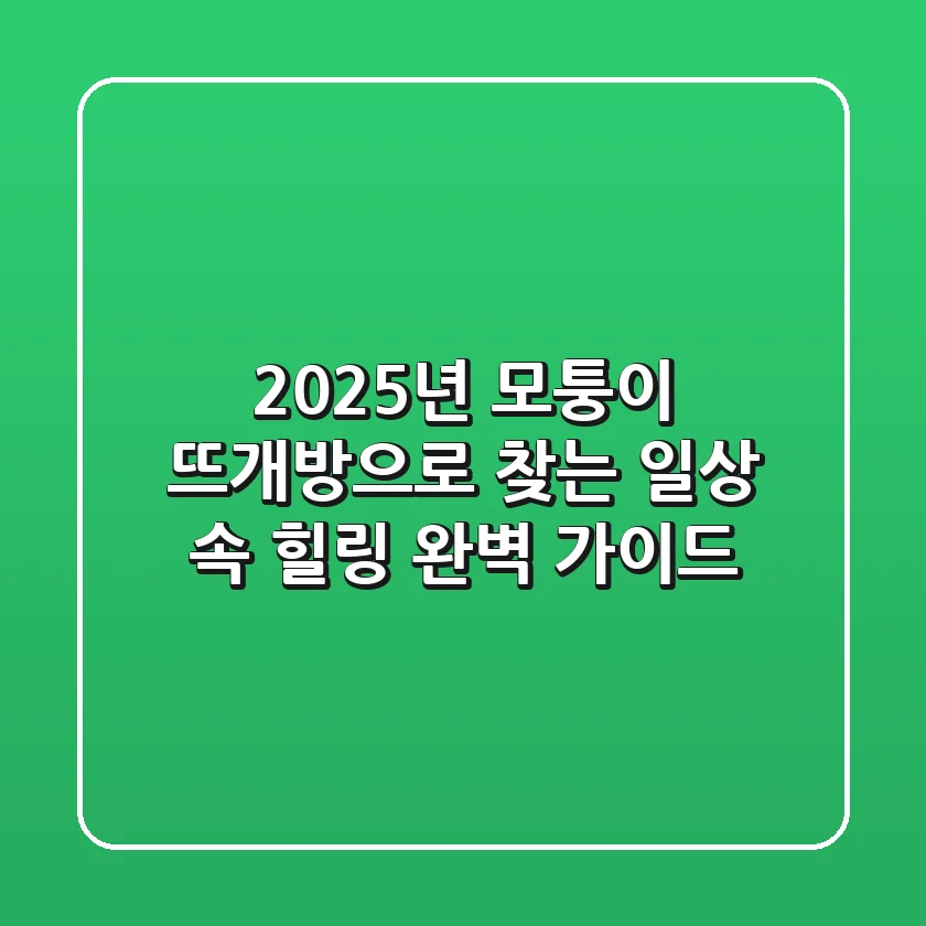 2025년, 모퉁이 뜨개방으로 찾는 일상 속 힐링 완벽 가이드