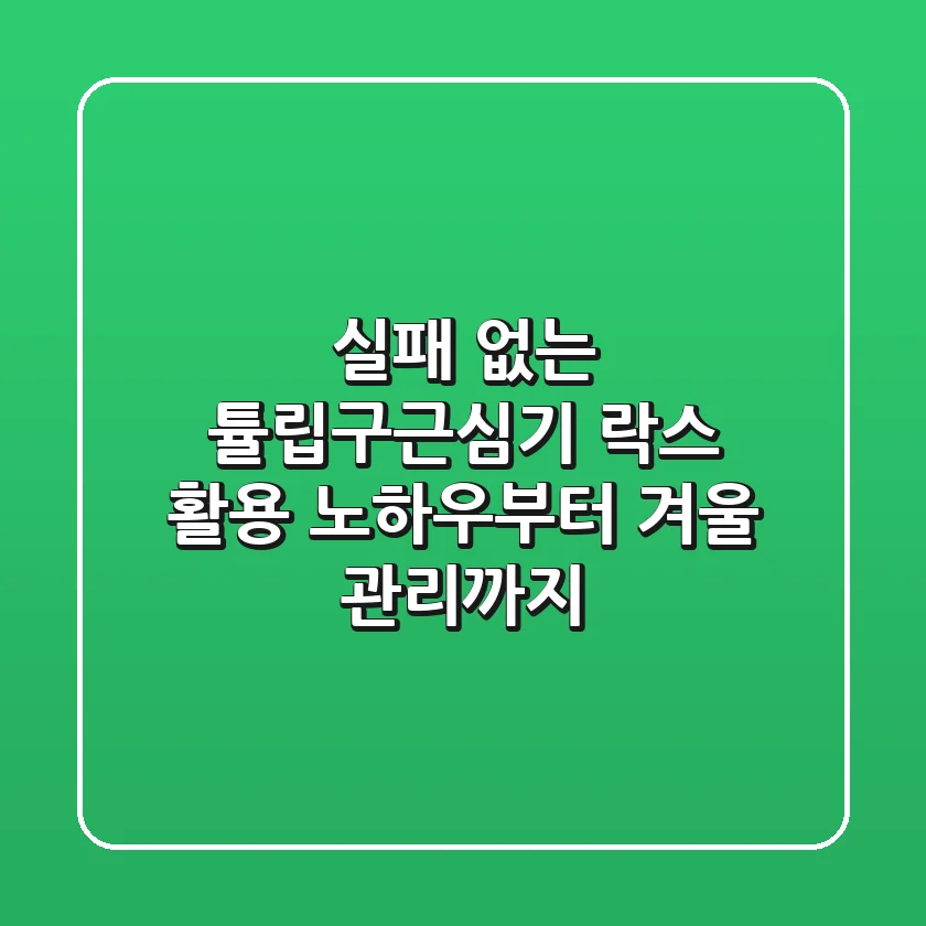 실패 없는 튤립구근심기, 락스 활용 노하우부터 겨울 관리까지