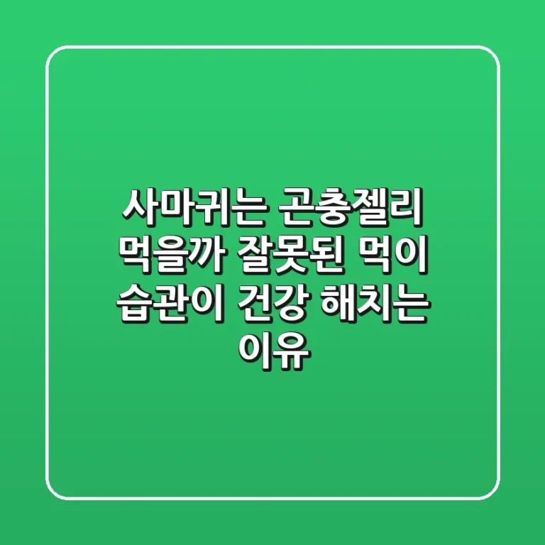 사마귀는 곤충젤리 먹을까? 잘못된 먹이 습관이 건강 해치는 이유