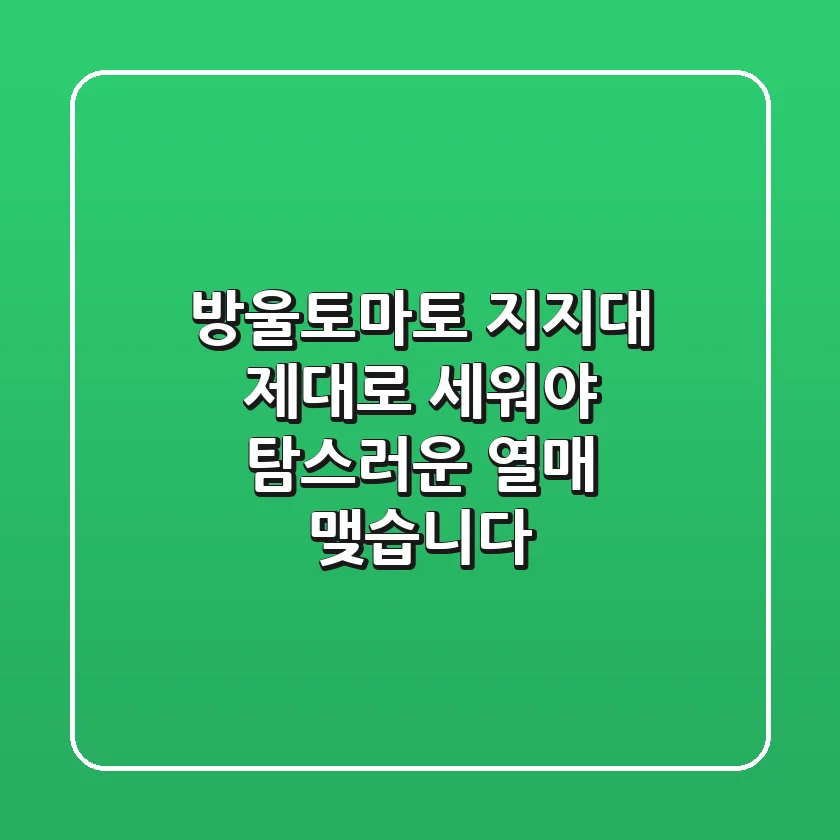 방울토마토 지지대, 제대로 세워야 탐스러운 열매 맺습니다