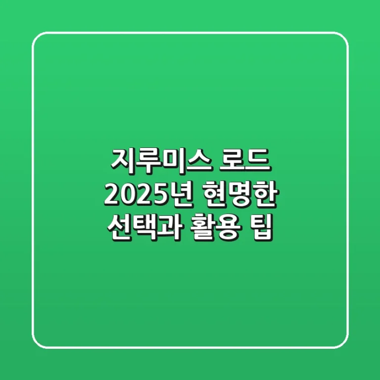 지루미스 로드, 2025년 현명한 선택과 활용 팁