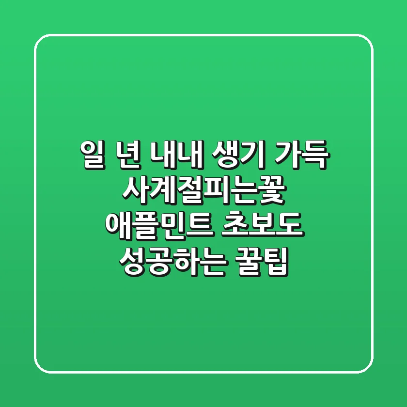 일 년 내내 생기 가득! 사계절피는꽃 & 애플민트, 초보도 성공하는 꿀팁