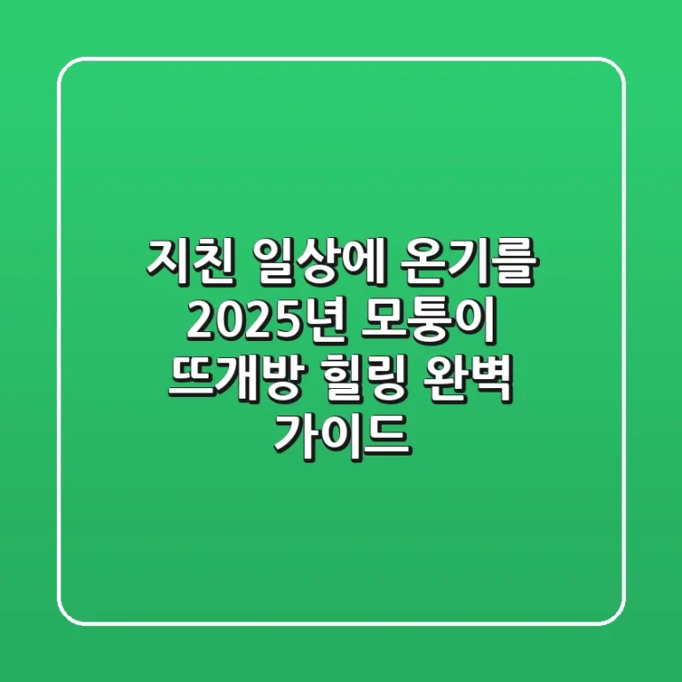지친 일상에 온기를, 2025년 모퉁이 뜨개방 힐링 완벽 가이드
