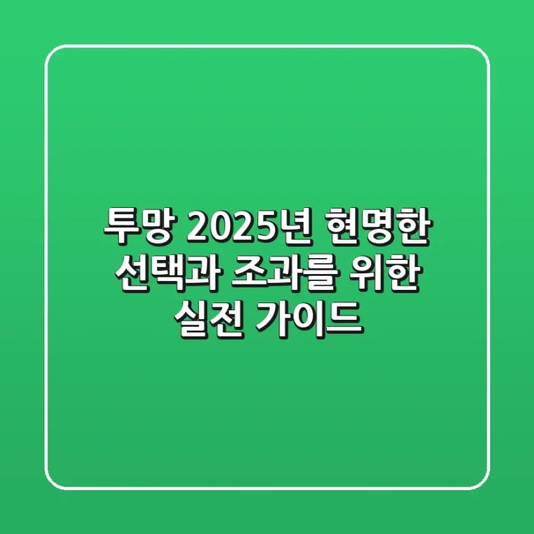 투망, 2025년 현명한 선택과 조과를 위한 실전 가이드