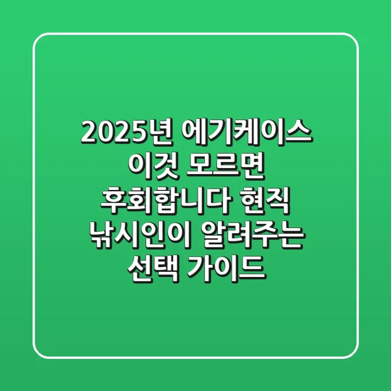 2025년 에기케이스, '이것' 모르면 후회합니다! 현직 낚시인이 알려주는 선택 가이드