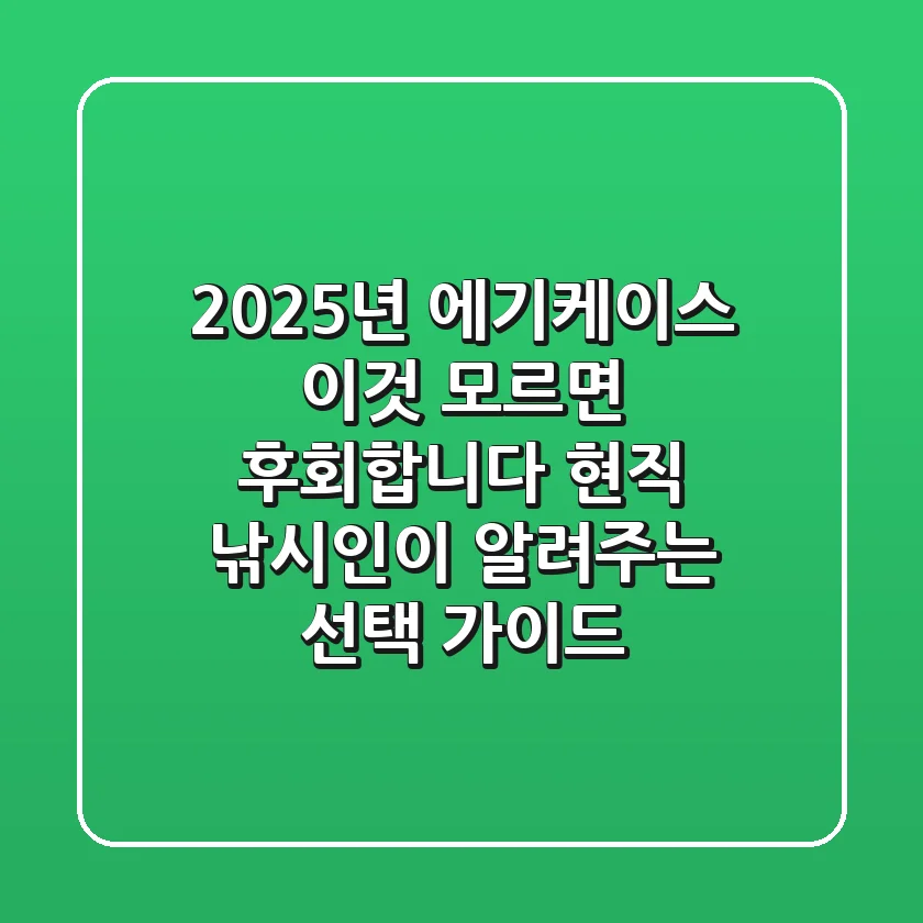 2025년 에기케이스, '이것' 모르면 후회합니다! 현직 낚시인이 알려주는 선택 가이드